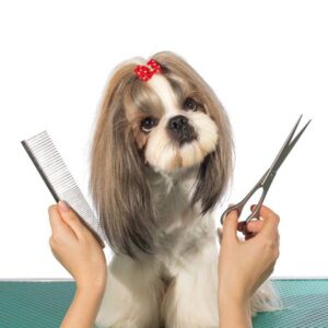 Pet Grooming Near Me Lackland AFB